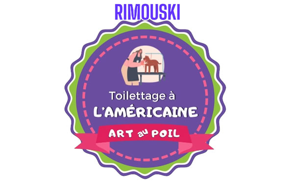 Perfectionnement toilettage aux ciseaux des têtes et corps à L'Américaine RIMOUSKI