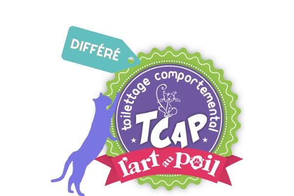 Certification Toilettage Comportemental FÉLIN MODULE 1 en différé